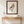 American Kestrel Art Print
