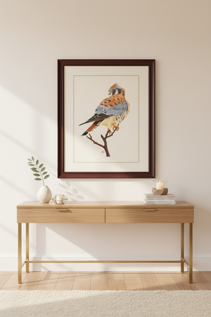 American Kestrel Art Print
