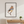 American Kestrel Art Print