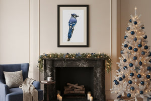 Blue Jay Art Print