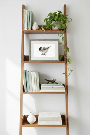 Chickadee Art Print