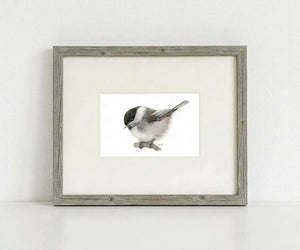Chickadee Art Print