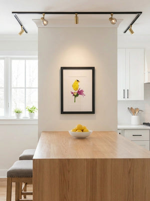 American Goldfinch Art Print