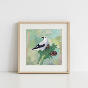 Clark's Nutcracker Art Print