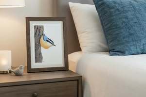 Red-breasted Nuthatch Art Print