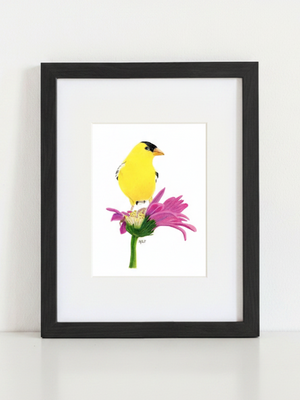 American Goldfinch Art Print in black frame