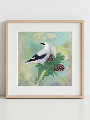 Clark's Nutcracker Art Print in natural wood frame