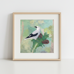 Clark's Nutcracker Art Print in natural wood frame
