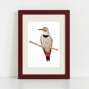 Northern Flicker Art Print in dark red frame