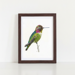 Anna's Hummingbird Art Print in dark walnut frame